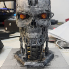 Picture of print of Terminator T800 Bust This print has been uploaded by David Gidony