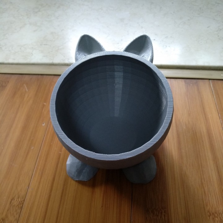 Cat bowl