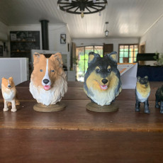 Picture of print of Sheltie Statue