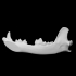 Lower Jaw Bone image