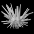 Echinoid: Eucidaris tribuloides (PRI 13410) image