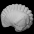 Trilobite: Flexicalymene meeki (PRI 70754) image