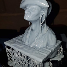 Picture of print of Pirate Bust