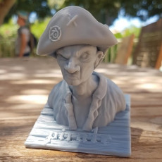 Picture of print of Pirate Bust