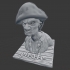 Pirate Bust image