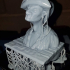 Pirate Bust print image