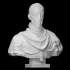 Bust of Charles IX image