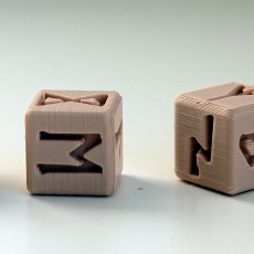 Picture of print of Dice Nordic Rune 6 sided