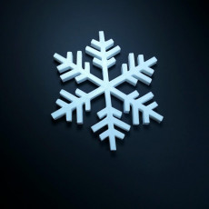 Picture of print of Snowflake