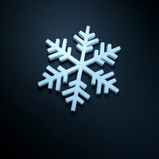 Picture of print of Snowflake