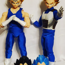 Picture of print of Muti-Coloured Vegeta Bust