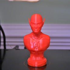Picture of print of The Flash bust This print has been uploaded by Mike Arsenault