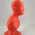 The Flash bust print image
