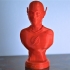 The Flash bust print image