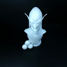 Picture of print of Green Goblin Bust