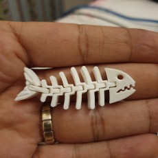 Picture of print of Fish Flexi