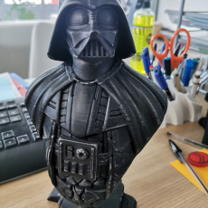 Picture of print of Darth Vader bust