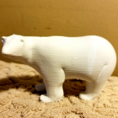 Picture of print of Polar Bear