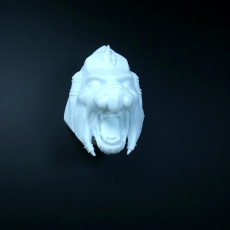 Picture of print of Battlecat HEAD
