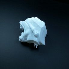Picture of print of Battlecat HEAD