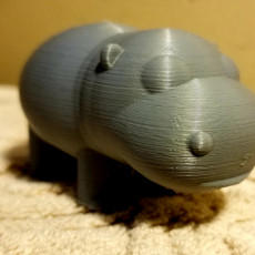 Picture of print of N-Hippo without the N