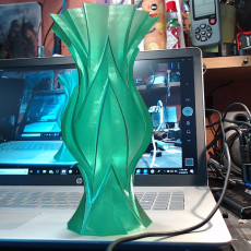 Picture of print of leaf vase