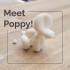 Meet Poppy! - Valentine's Edition. image