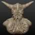 Ragnar "octopus beard " image