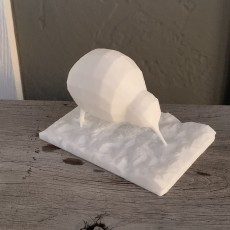 Picture of print of Low Poly Kiwi