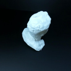 Picture of print of Untitled 3D Scan 2019-01-18