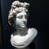 Bust of the Apollo Belvedere image
