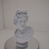 Bust of the Apollo Belvedere print image