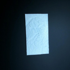 Picture of print of Dragon lithophane