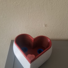 Picture of print of Heart Shaped Self Watering Planter This print has been uploaded by Ricardo Ramirez
