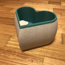 Picture of print of Heart Shaped Self Watering Planter