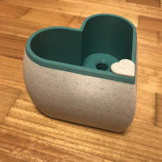 Picture of print of Heart Shaped Self Watering Planter