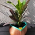 Heart Shaped Self Watering Planter image