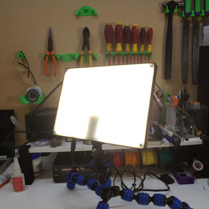 Light Panel with action camera mounts