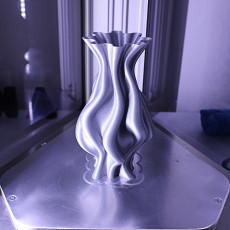 Picture of print of Flame Vase