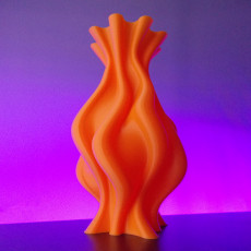 Picture of print of Flame Vase