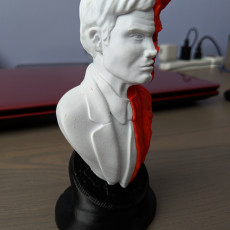 Picture of print of Two-Face bust This print has been uploaded by franek