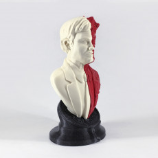 Picture of print of Two-Face bust This print has been uploaded by Kaspars Butlers