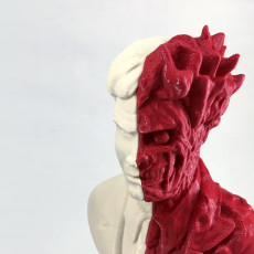 Picture of print of Two-Face bust This print has been uploaded by Kaspars Butlers
