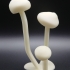 Glowing Mushrooms image
