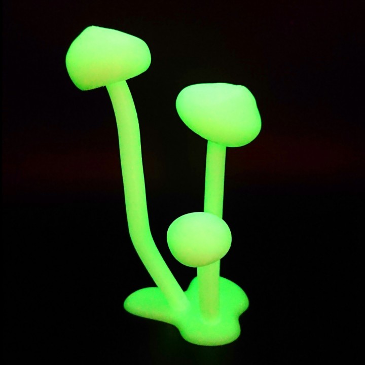 3D Print Glow in the dark mushroom