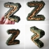 Steampunk letter Z image
