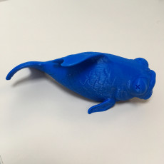 Picture of print of ThatJoshGuy's Dead Goldfish