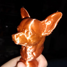 Picture of print of Chihuahua Statue This print has been uploaded by Chris Hitchabout