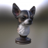 Chihuahua Statue image