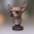Chihuahua Statue image